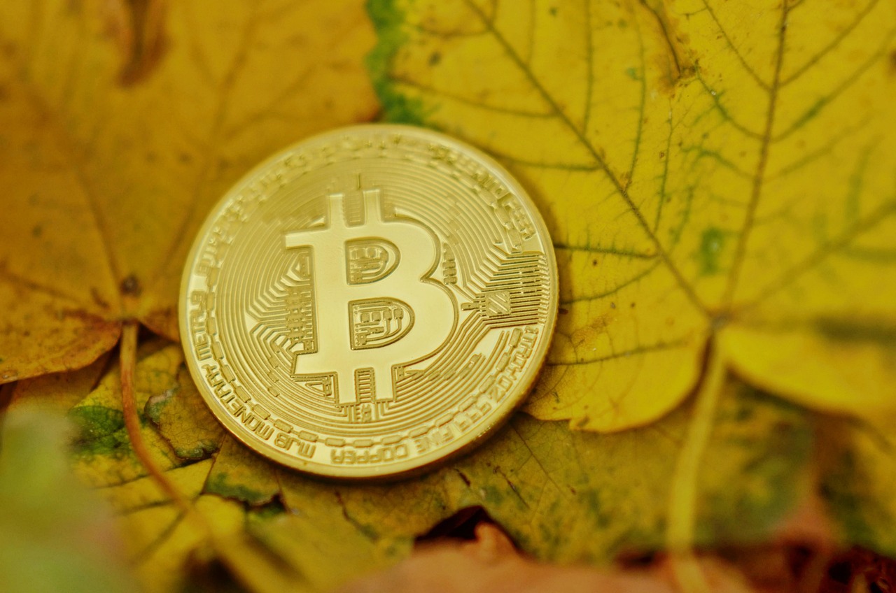 比特币减半满周年、涨逾三成！机构进场加速牛市